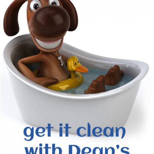 Dog Wash Services Dog Wash Services