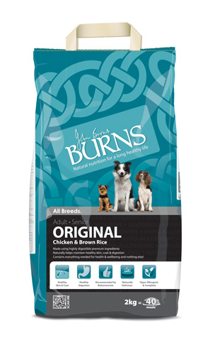 Burns